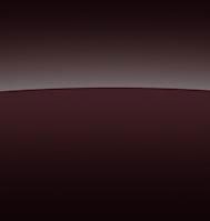 RICH GARNET METALLIC†