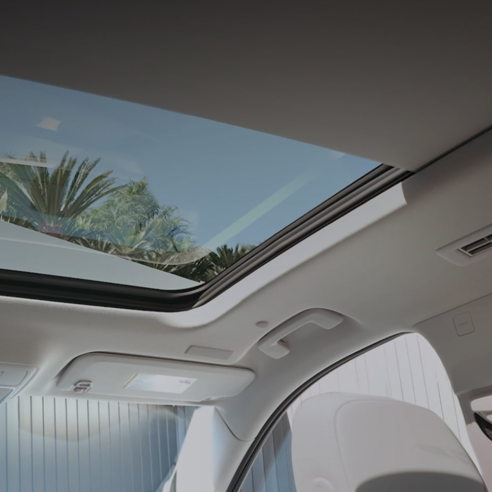 Une vue intérieure regardant vers le toit panoramique de la Buick Enclave 2027, révélant un ciel bleu et des palmiers verts.